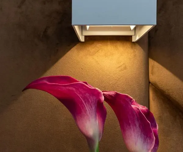 Guest house 23apartments